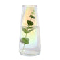 Transparent Glass Vase - Flower vase for home decor, office and gifting | Home decoration items