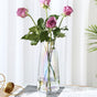 Transparent Glass Vase - Flower vase for home decor, office and gifting | Home decoration items