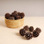 Natural Pine Cones Small - Natural, organic and eco-friendly pine cones | Sustainable home decor items