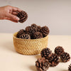 Natural Pine Cones Small - Natural, organic and eco-friendly pine cones | Sustainable home decor items
