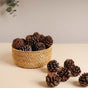 Natural Pine Cones Small - Natural, organic and eco-friendly pine cones | Sustainable home decor items