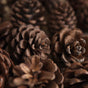 Natural Pine Cones Small - Natural, organic and eco-friendly pine cones | Sustainable home decor items