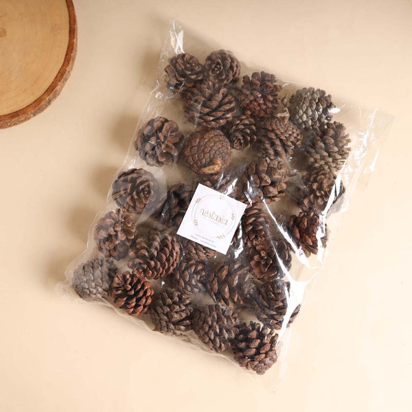 Natural Pine Cones Small - Natural, organic and eco-friendly pine cones | Sustainable home decor items