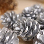 Large Pine Cones - Natural, organic and eco-friendly pine cones | Sustainable home decor items