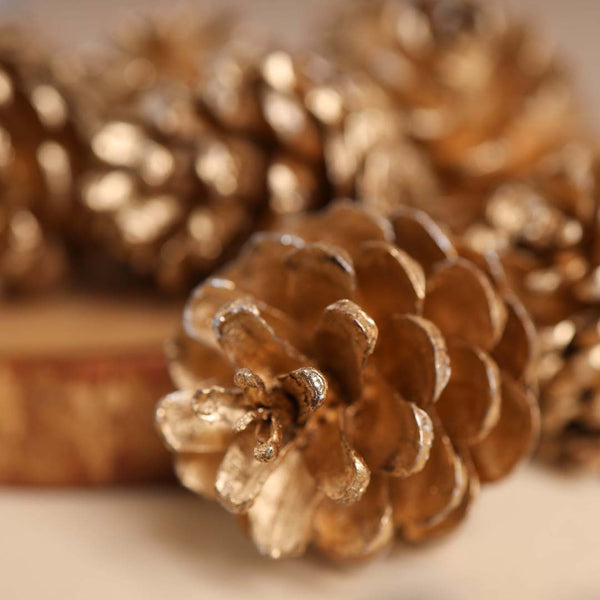 Large Pine Cones