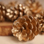 Large Pine Cones - Natural, organic and eco-friendly pine cones | Sustainable home decor items