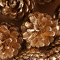 Large Pine Cones - Natural, organic and eco-friendly pine cones | Sustainable home decor items