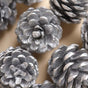 Large Pine Cones - Natural, organic and eco-friendly pine cones | Sustainable home decor items