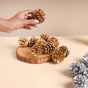 Large Pine Cones - Natural, organic and eco-friendly pine cones | Sustainable home decor items