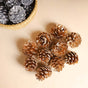 Large Pine Cones - Natural, organic and eco-friendly pine cones | Sustainable home decor items