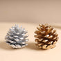 Large Pine Cones - Natural, organic and eco-friendly pine cones | Sustainable home decor items