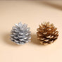 Large Pine Cones - Natural, organic and eco-friendly pine cones | Sustainable home decor items