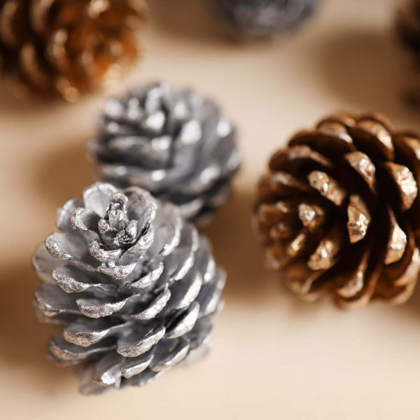 Small Pine Cones