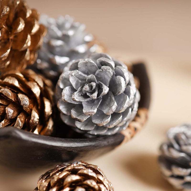 Small Pine Cones - Natural, organic and eco-friendly pine cones | Sustainable home decor items
