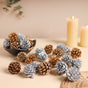 Small Pine Cones - Natural, organic and eco-friendly pine cones | Sustainable home decor items