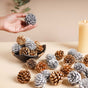 Small Pine Cones - Natural, organic and eco-friendly pine cones | Sustainable home decor items