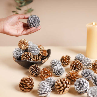 Small Pine Cones
