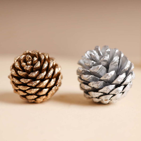 Small Pine Cones