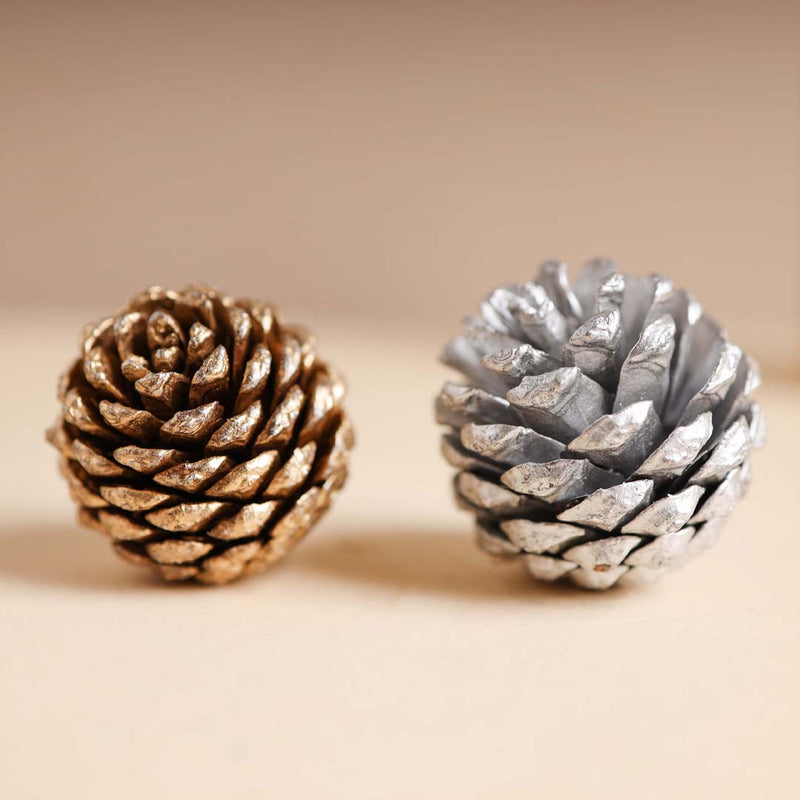Small Pine Cones - Natural, organic and eco-friendly pine cones | Sustainable home decor items