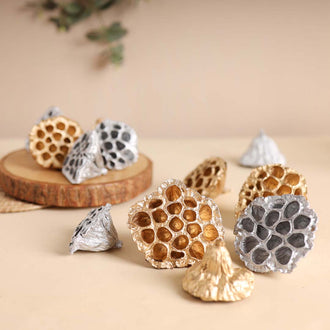 Lotus Pod For Decor - Natural, organic and eco-friendly products | Sustainable home decor items