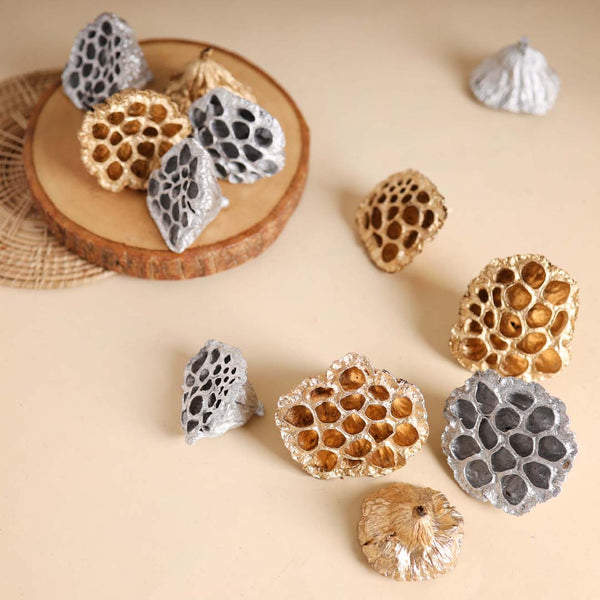 Lotus Pod For Decor - Natural, organic and eco-friendly products | Sustainable home decor items