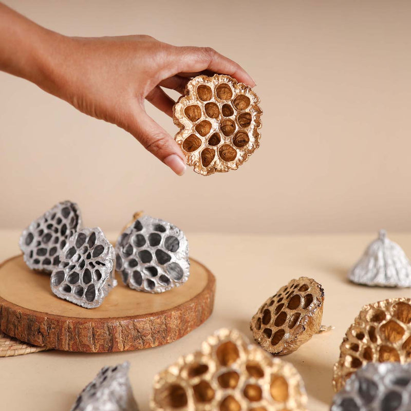 Lotus Pod For Decor - Natural, organic and eco-friendly products | Sustainable home decor items