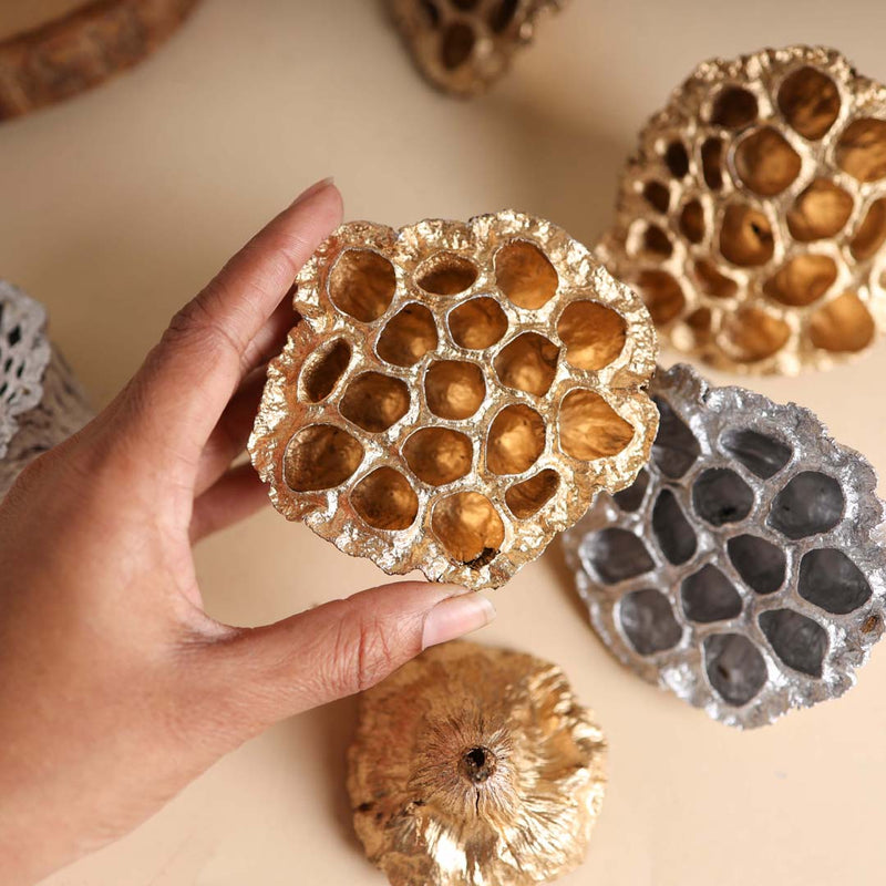 Lotus Pod For Decor - Natural, organic and eco-friendly products | Sustainable home decor items