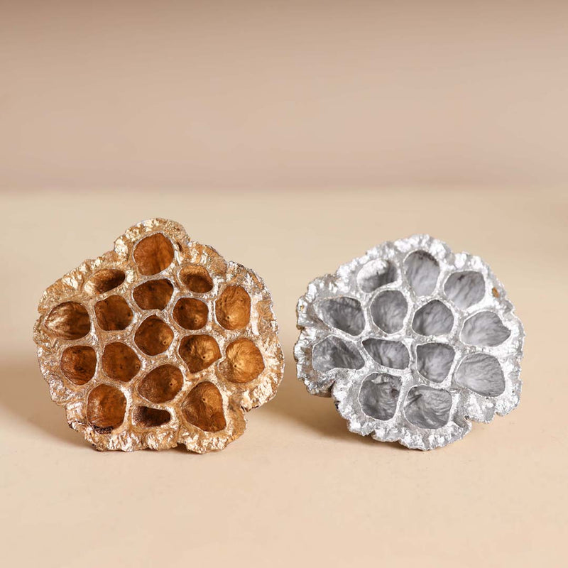 Lotus Pod For Decor - Natural, organic and eco-friendly products | Sustainable home decor items