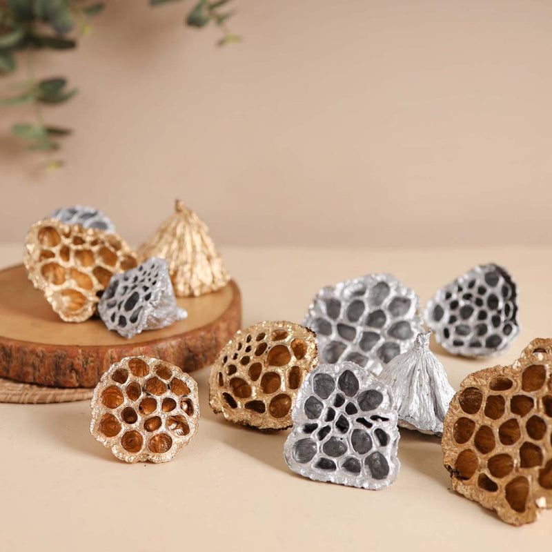 Lotus Pod For Decor - Natural, organic and eco-friendly products | Sustainable home decor items