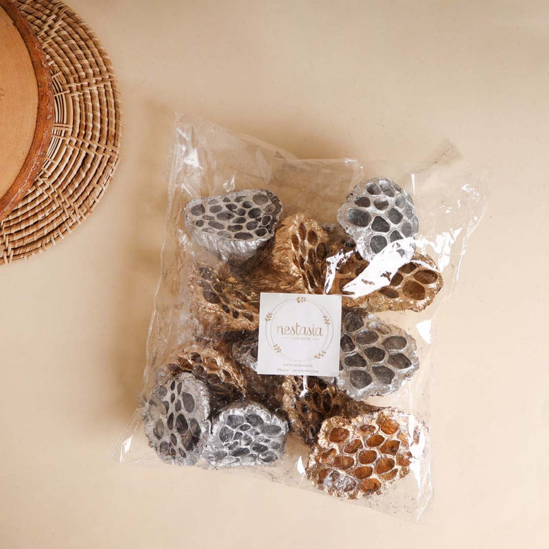 Lotus Pod For Decor - Natural, organic and eco-friendly products | Sustainable home decor items