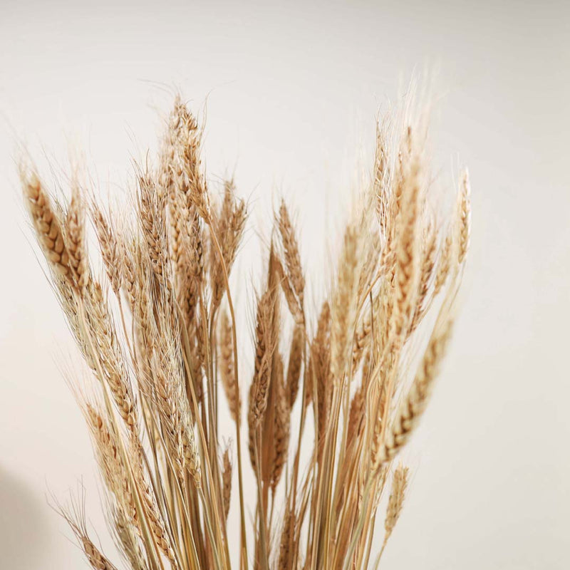 Wheat Bunch - Natural and sustainable home decor products | Room decoration items