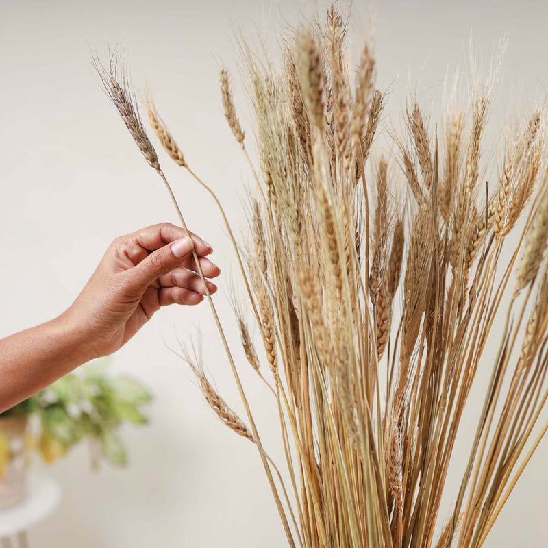 Wheat Bunch - Natural and sustainable home decor products | Room decoration items