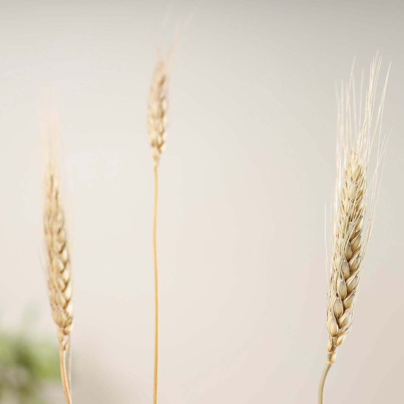 Wheat Bunch - Natural and sustainable home decor products | Room decoration items