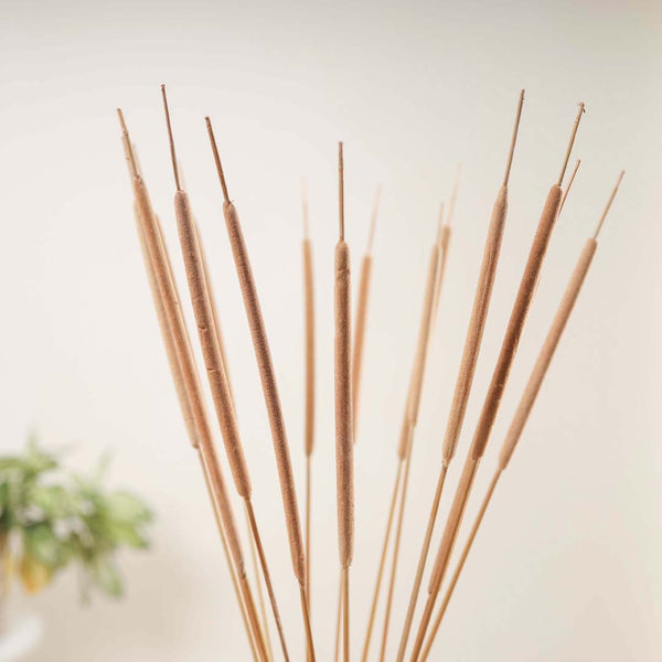 Cattail Stem For Decor - Dried flower decorative sticks | Ecofriendly and natural home decor items