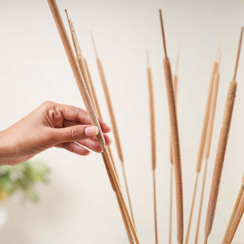 Cattail Stem For Decor - Dried flower decorative sticks | Ecofriendly and natural home decor items
