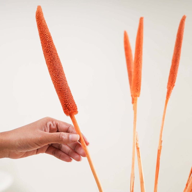 Millet Stem Orange - Natural and sustainable decorative flowers | Room decoration items