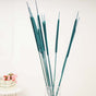 Cattail Stems - Dried flower decorative sticks | Ecofriendly and natural home decor items