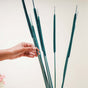 Cattail Stems - Dried flower decorative sticks | Ecofriendly and natural home decor items