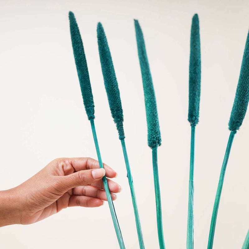 Millet Stem Green - Natural and sustainable decorative flowers | Room decoration items
