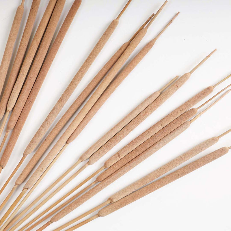 Cattail Stem For Decor - Dried flower decorative sticks | Ecofriendly and natural home decor items