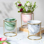 Botanica Marble Pink Planter with Stand - Indoor planters and flower pots | Home decor items