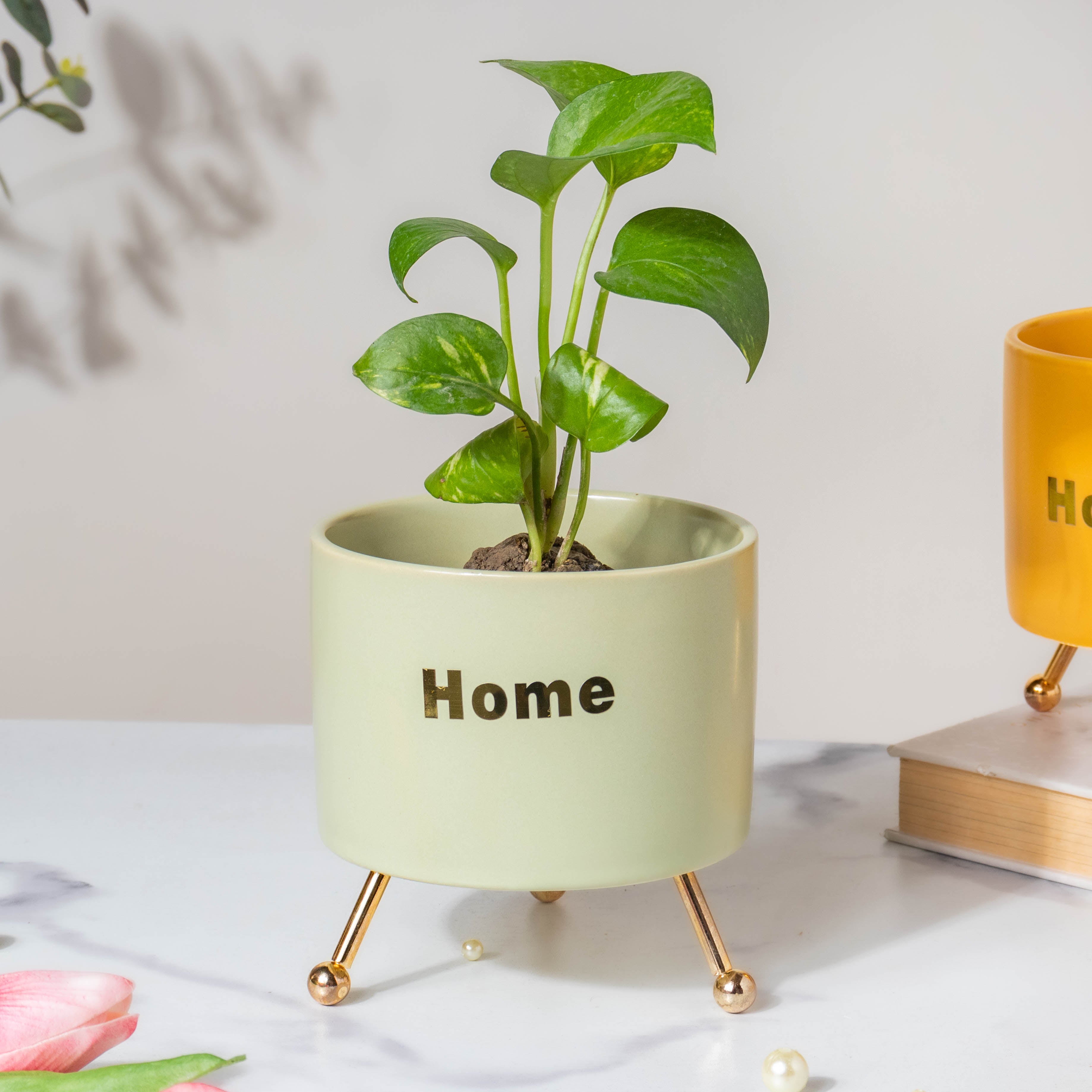 Home Ceramic Planter With Stand Green