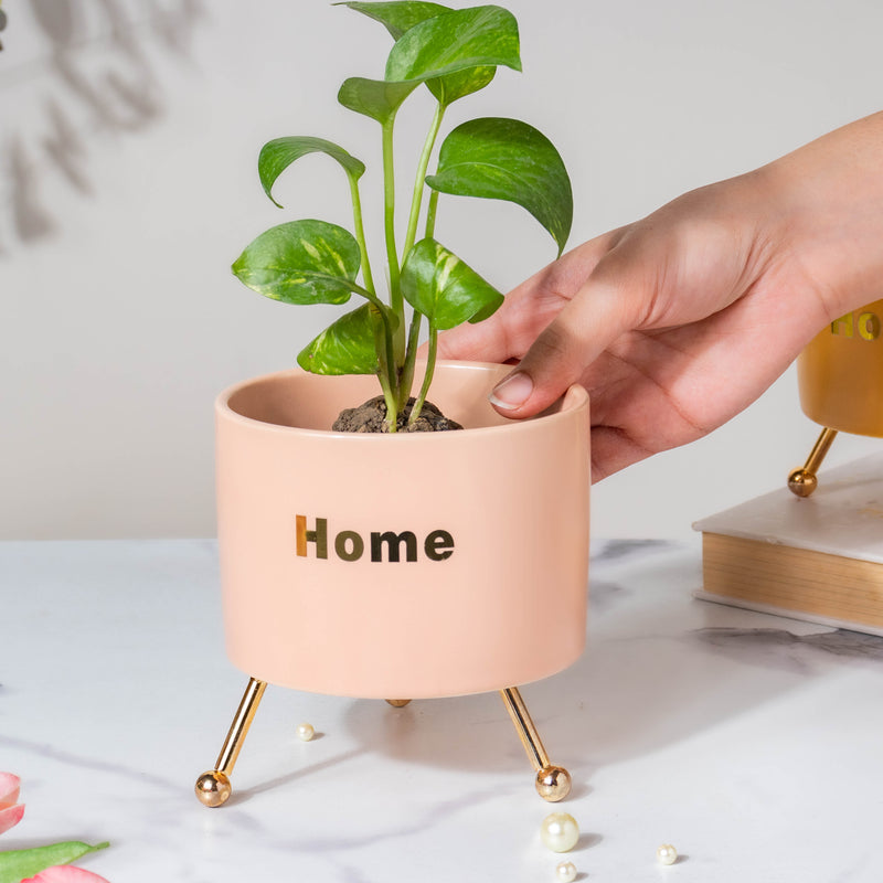 Home Ceramic Planter With Stand Pink - Indoor planters and flower pots | Home decor items