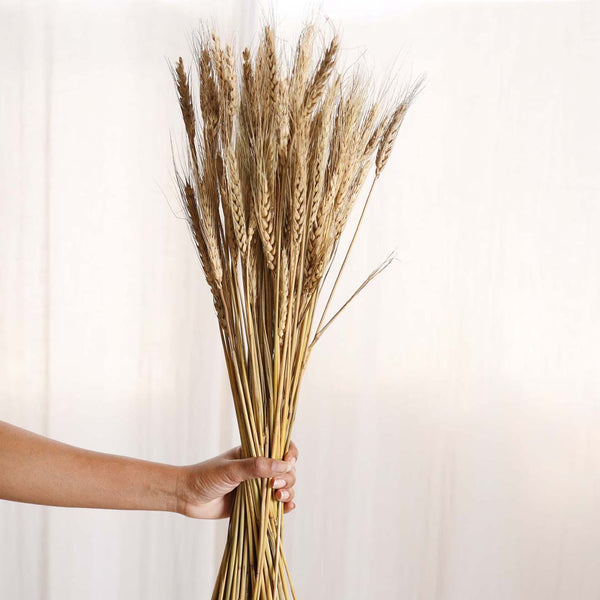 Wheat Bunch - Natural and sustainable home decor products | Room decoration items