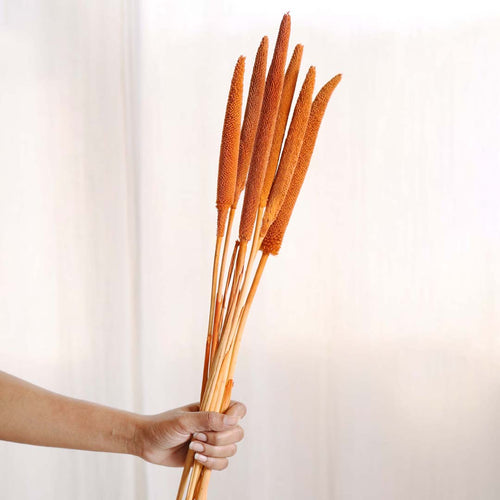 Millet Stem Orange - Natural and sustainable decorative flowers | Room decoration items