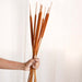 Cattail For Vase - Dried flower decorative sticks | Ecofriendly and natural home decor items