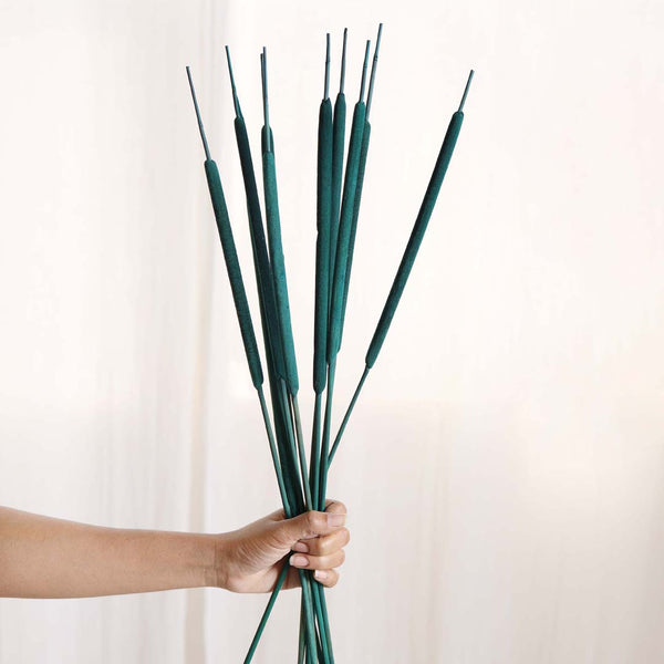 Cattail Stems - Dried flower decorative sticks | Ecofriendly and natural home decor items