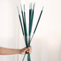 Cattail Stems - Dried flower decorative sticks | Ecofriendly and natural home decor items