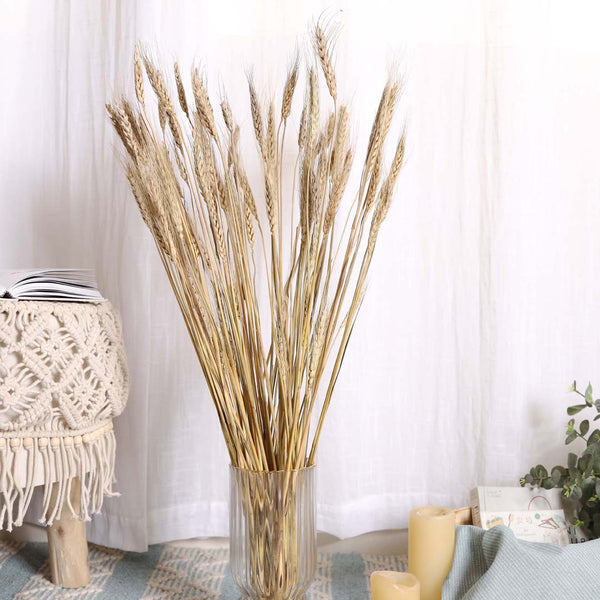 Wheat Bunch - Natural and sustainable home decor products | Room decoration items