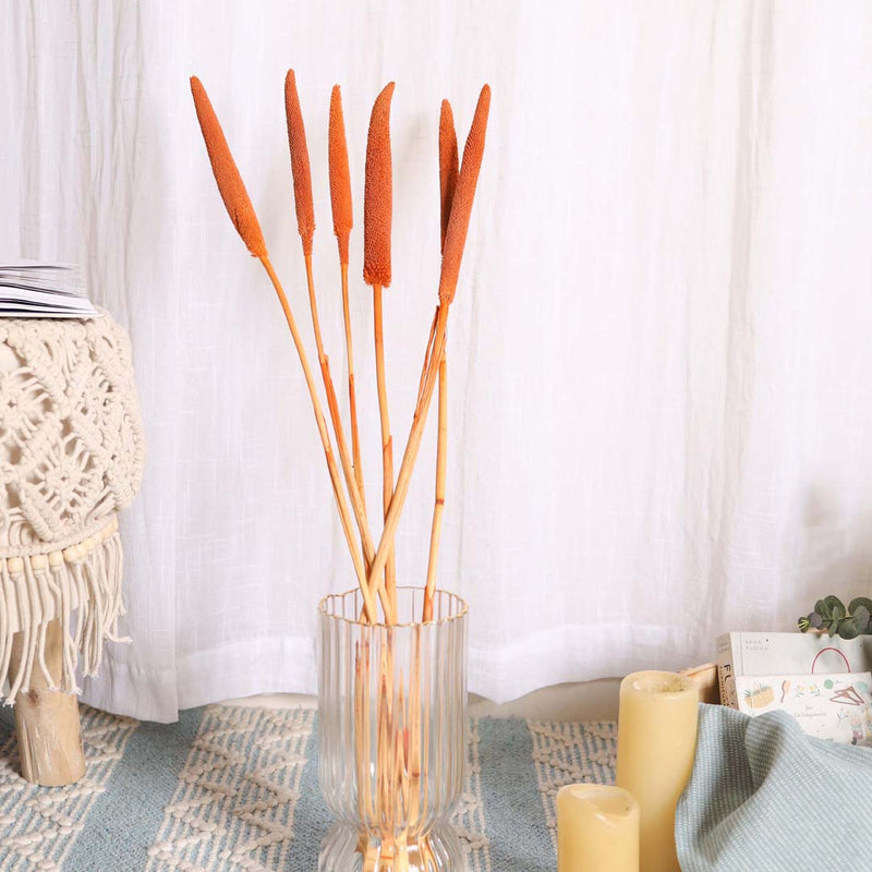 Millet Stem Orange - Natural and sustainable decorative flowers | Room decoration items